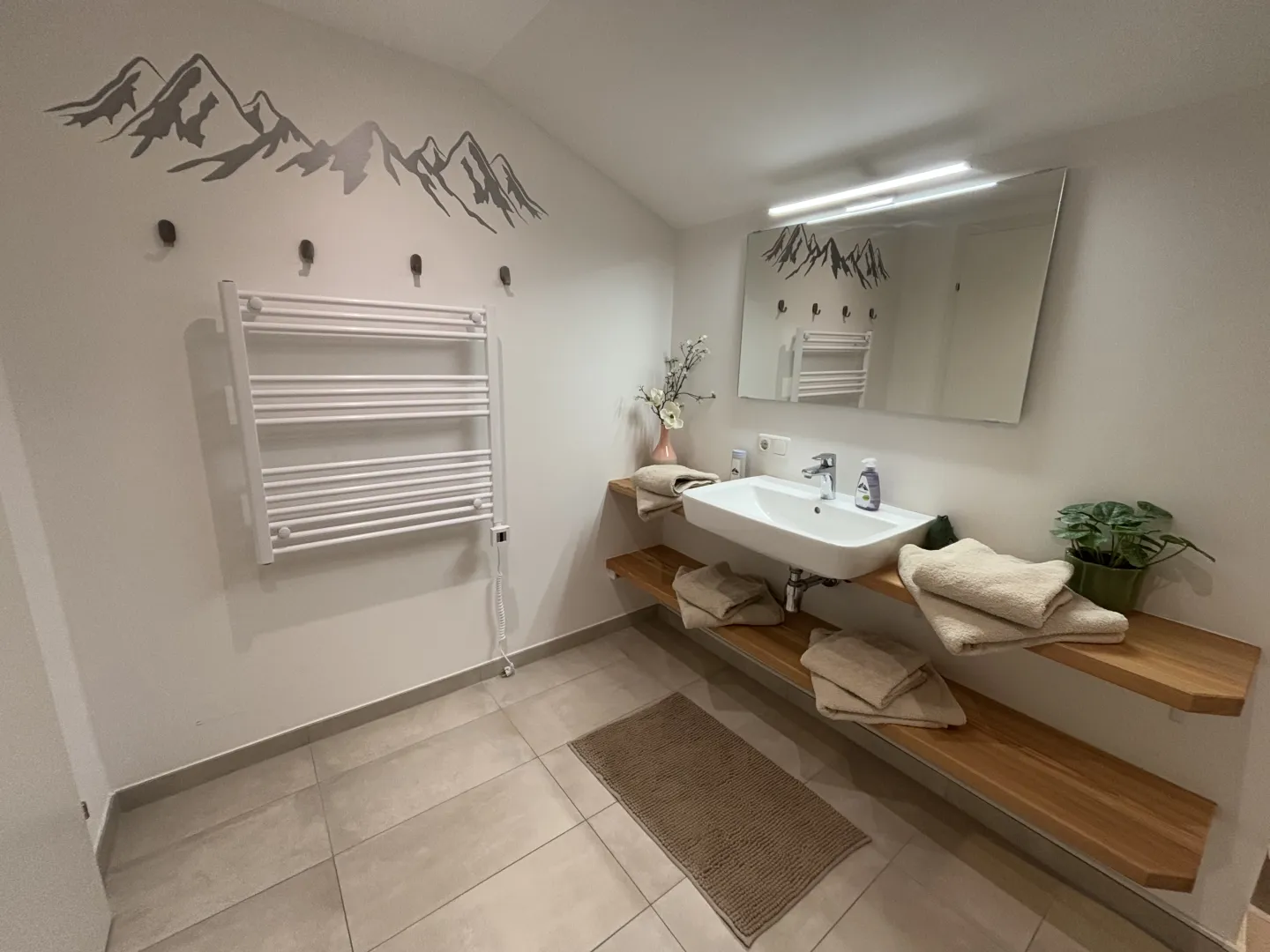 Modern bathroom with shower